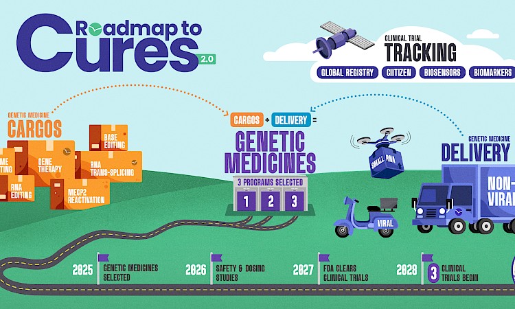 Roadmap to Cures 2.0 Infographic