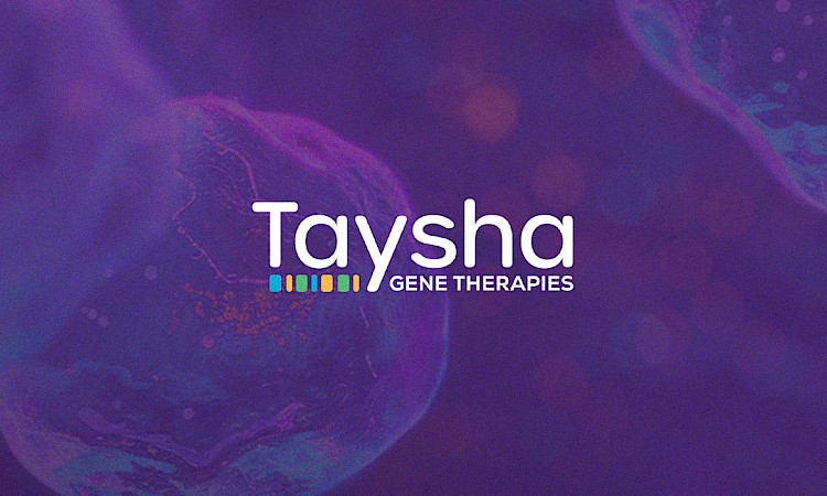 Taysha Update