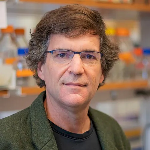 summit-headshots_0009_sontheimer