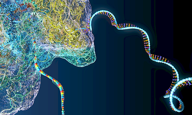RNA Trans-splicing