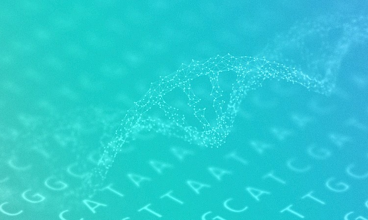 Roadmap to a Cure 1.0