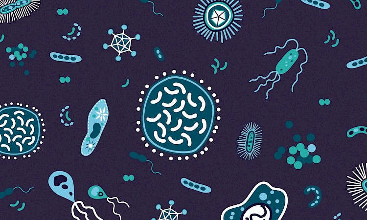 Roadmap to a Cure 1.0