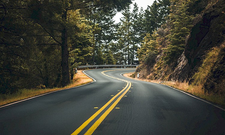 Roadmap to a Cure 1.0