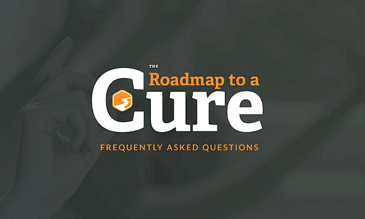 Roadmap to a Cure 1.0
