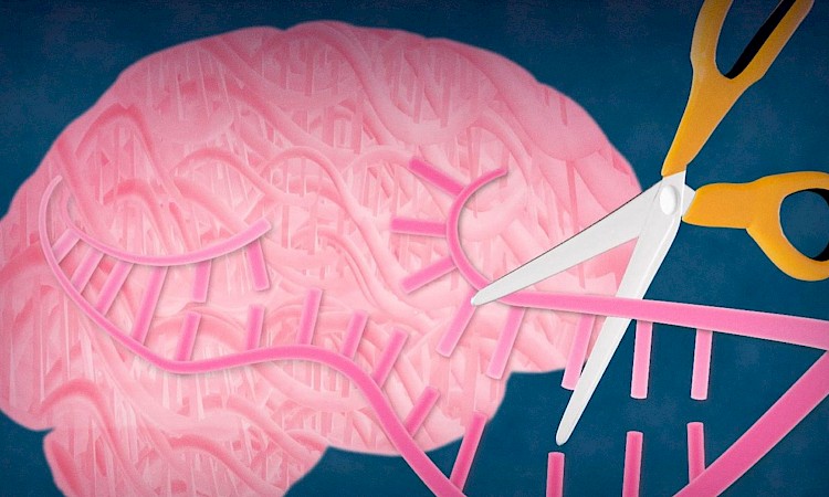 Related Disorders