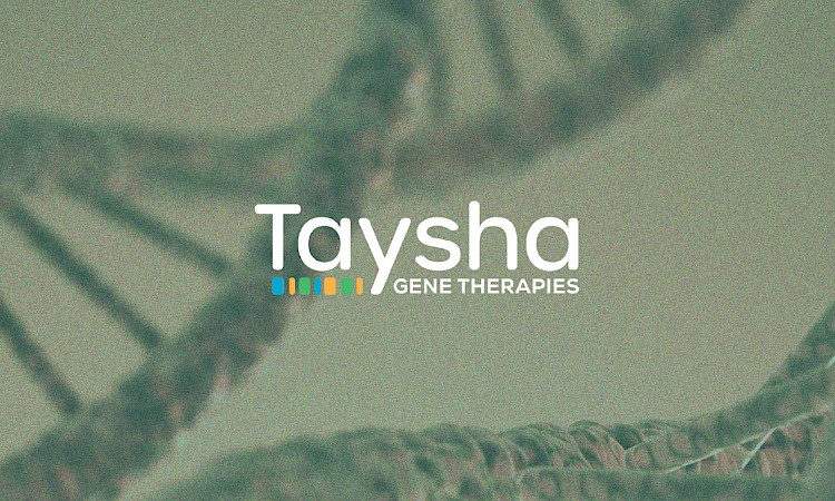Taysha Update